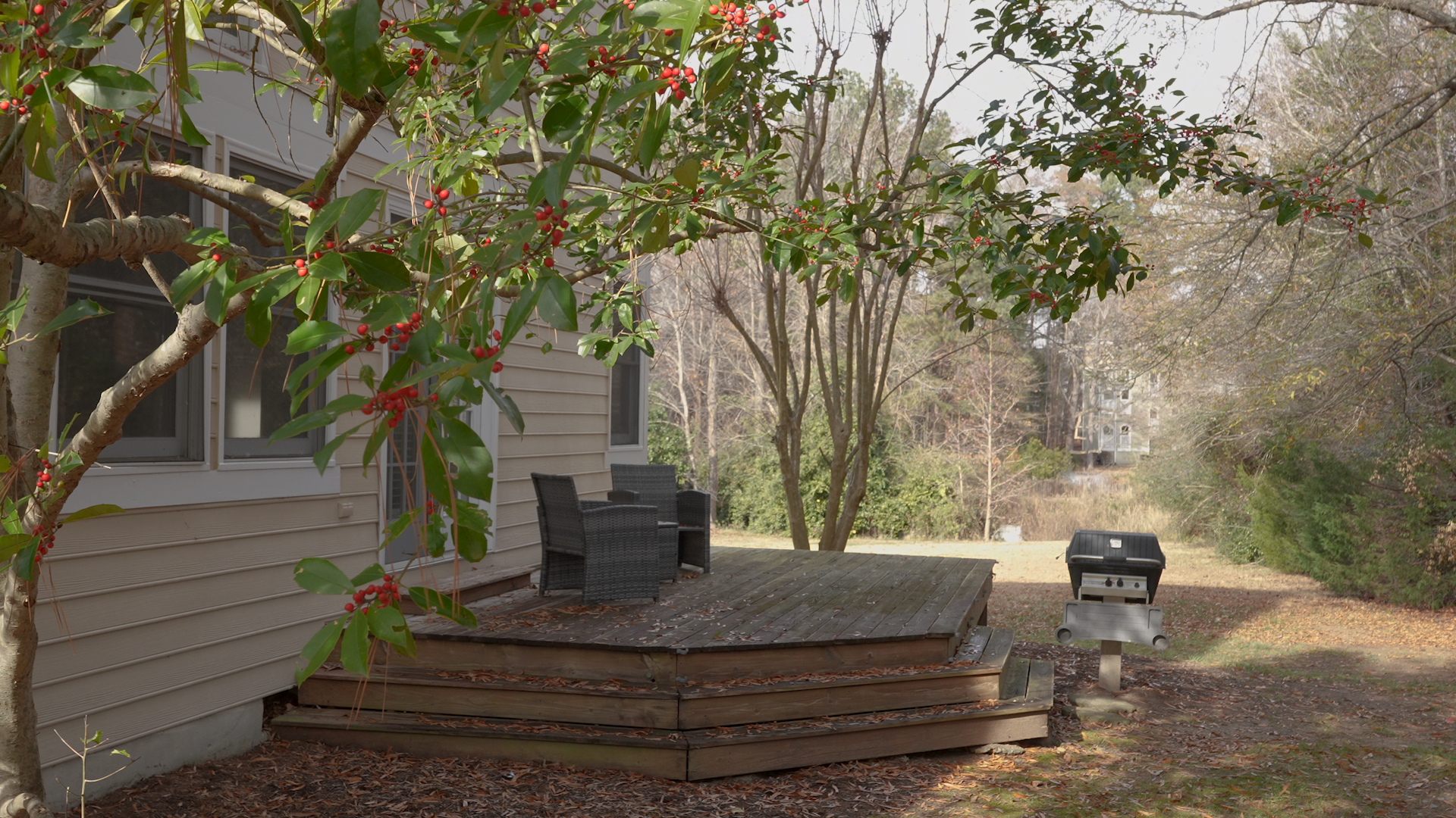 Private side yard and deck